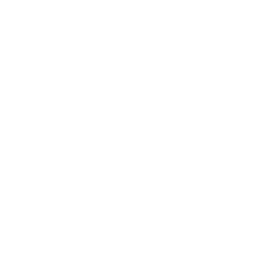 KW Suspension Logo White 500x500