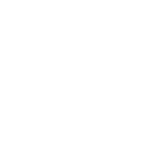 RS Future RSFuture Logo White 500px