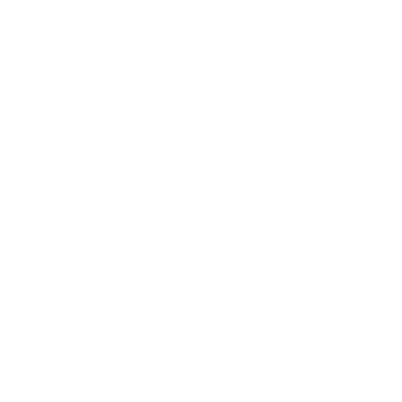 Rhino Films and Detailing Logo